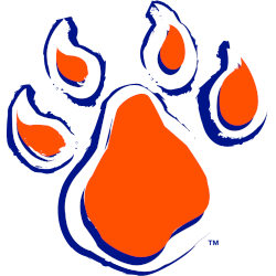 Sam Houston State Bearkats Alternate Logo 2001 - 2020